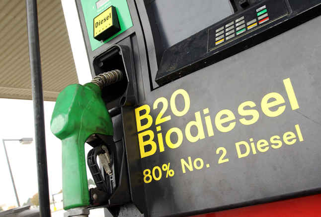 Дизель или биодизель?