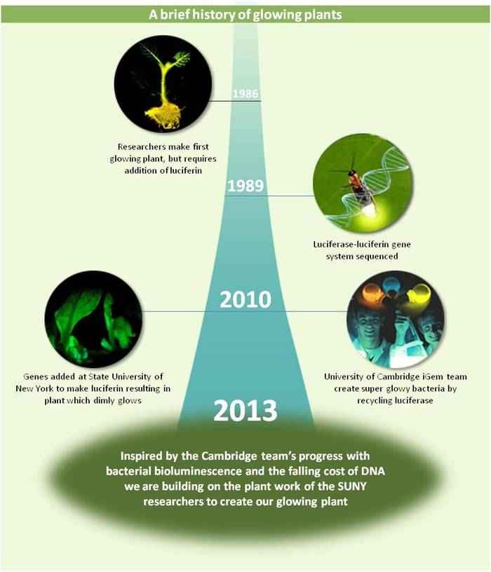 Время разработки Светящихся растений 